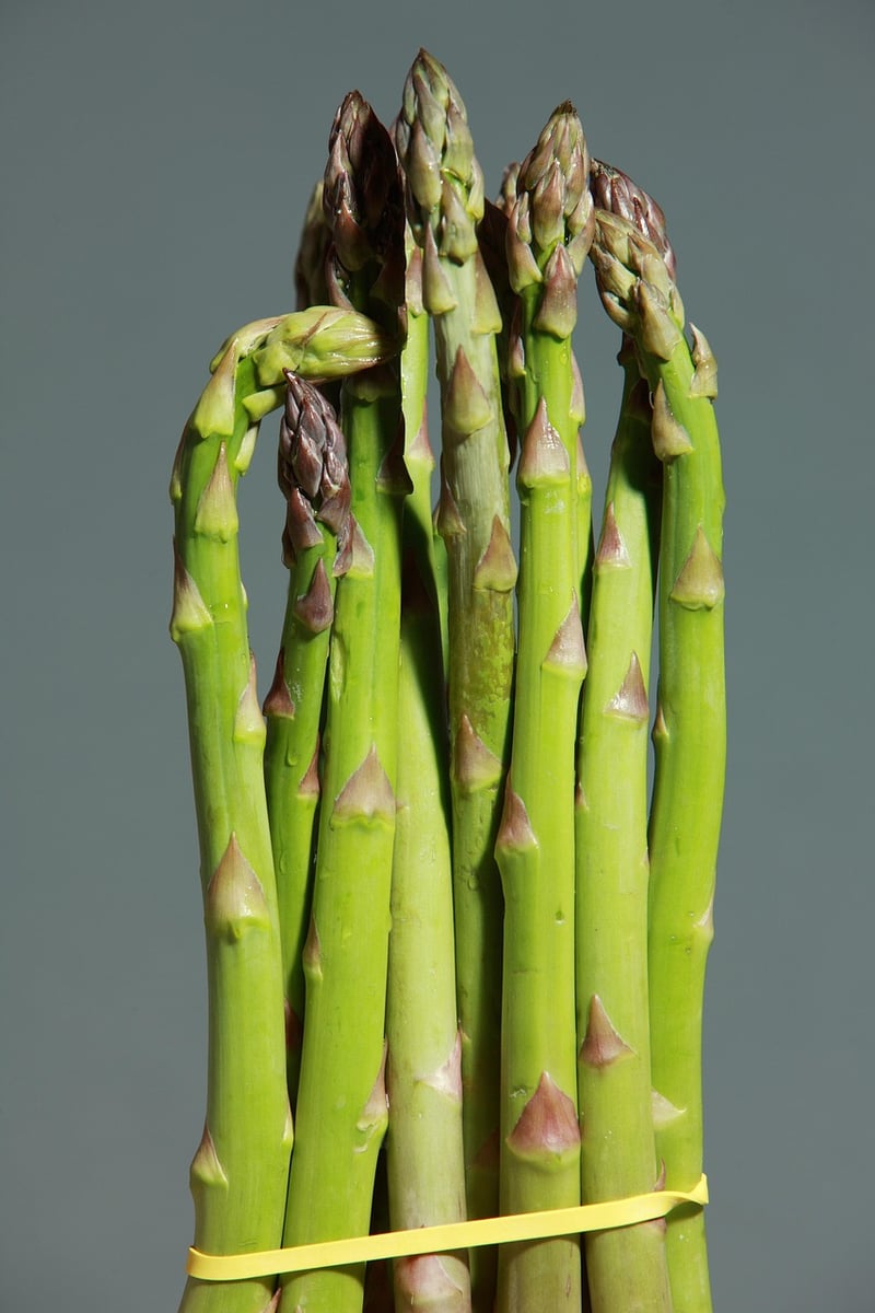 Veggie Stir-Fry